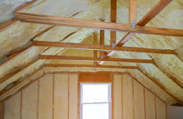 Best Home Insulation Services  in Wylie, TX