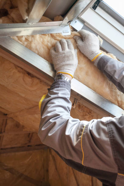 Best Blown-in Insulation  in Wylie, TX