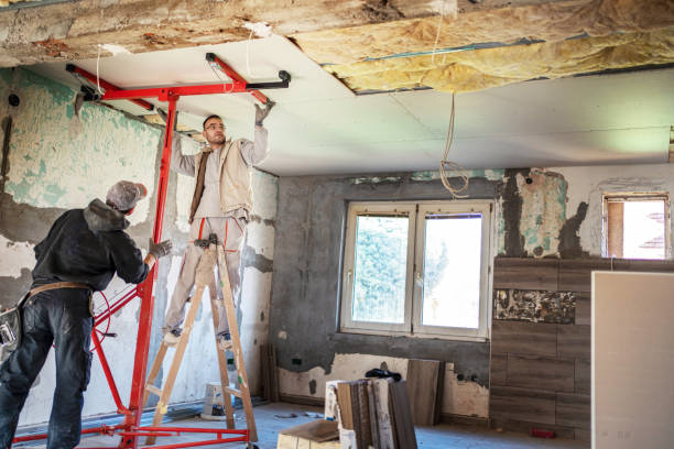 Best Best Insulation Companies  in Wylie, TX