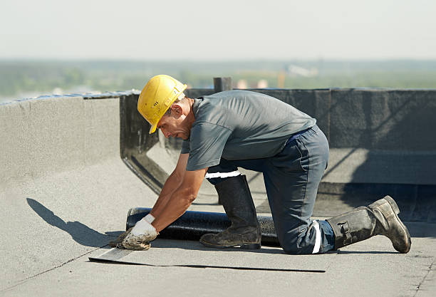Best Crawl Space Insulation  in Wylie, TX