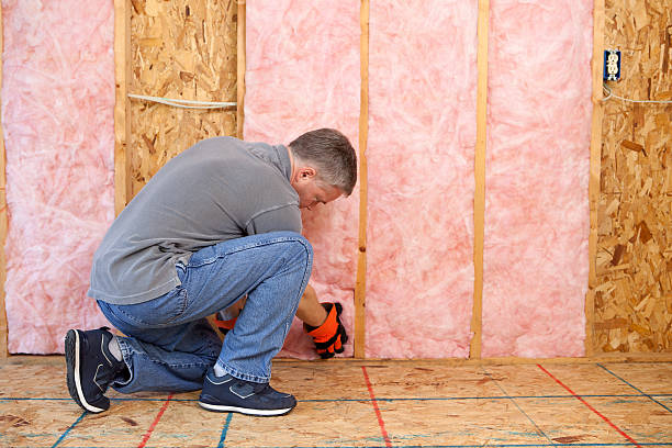 Best Garage Insulation Installation  in Wylie, TX