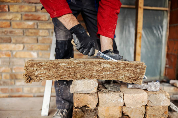 Best Energy-efficient Insulation  in Wylie, TX