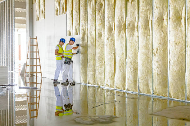 Best Insulation Contractors for Homes  in Wylie, TX